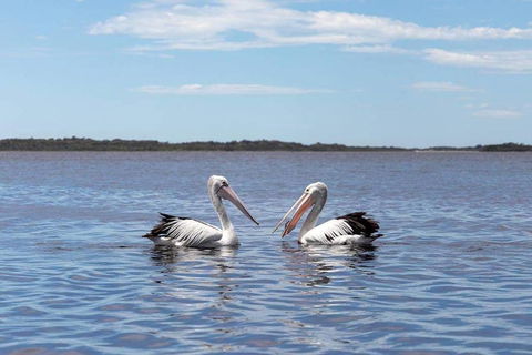 Amazing Ansons Bay Remote Paradise For The Family In The Bay Of Fires Area - Holiday Sunshine Coast 2