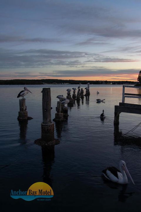 Anchor Bay Motel - Holiday Sunshine Coast 3