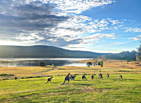Anglers Reach Lakeside Village - Holiday Sunshine Coast 0