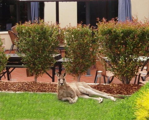 Alpha Hotel Canberra - Holiday Sunshine Coast 3