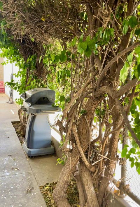 Argent Abode CBD - Sunshine Coast Tourism 1