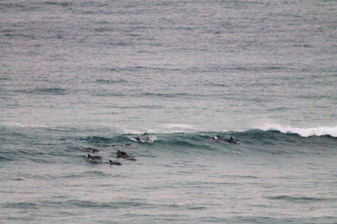 Apartment On King Street - Sunshine Coast Tourism 1