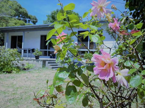 Apollo Bay Holiday House - Holiday Sunshine Coast 1