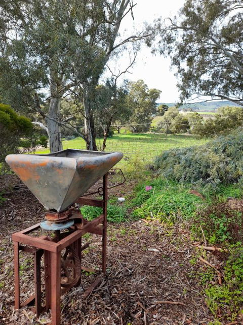 Archery Road Estate - Holiday Sunshine Coast 2