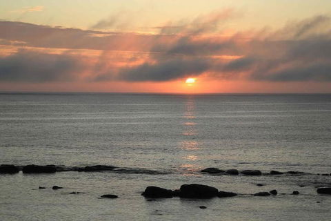 Augusta Beachfront - Watch The Whales Go By - Holiday Sunshine Coast 1