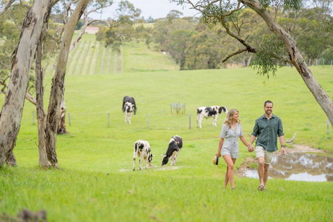 Away At Ancell - Sunshine Coast Tourism 1