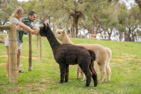 Away At Ancell - Sunshine Coast Tourism 2
