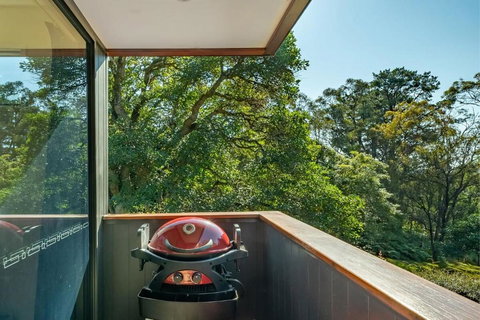 Architecturally Designed Nature Lovers Delight - Holiday Sunshine Coast 1