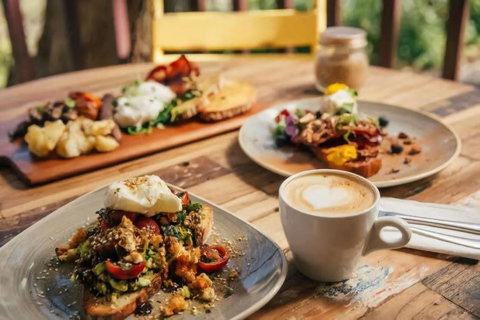 Architecturally Designed Nature Lovers Delight - Holiday Sunshine Coast 4