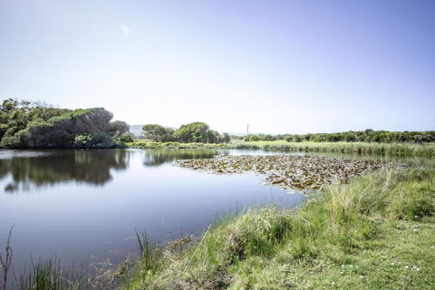 Apollo Bay Cottages- Sabine - Holiday Sunshine Coast 3