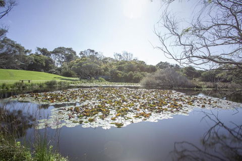 Apollo Bay Cottages- Sabine - Holiday Sunshine Coast 4