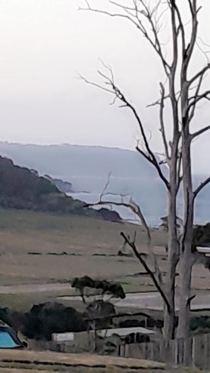 Bay Renaissance - Sunshine Coast Tourism 3