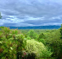 Daintree Manor BB - Sunshine Coast Tourism