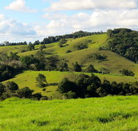 Maleny Springs Farm - Holiday Sunshine Coast
