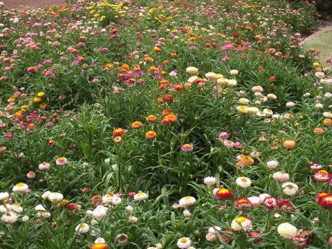 Eastgate On The Range Motel - Holiday Sunshine Coast 37