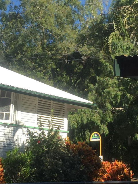 Daggoombah Holiday Home Magnetic Island - Sunshine Coast Tourism 15