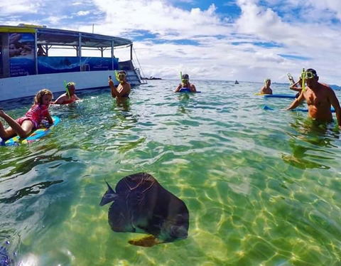 Magnetic Island Guest House - Holiday Sunshine Coast 20