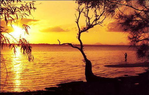 Waterfront At White Patch - Holiday Sunshine Coast 23