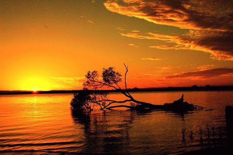 Fishing And Swimming At Your Doorstep - Sylvan Beach Esp, Bellara - Sunshine Coast Tourism 2