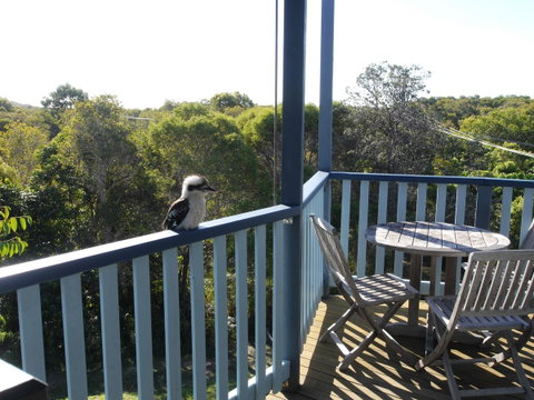 Blue House - Sunshine Coast Tourism 0