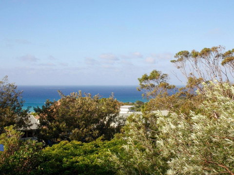Seagrass - Sunshine Coast Tourism 0
