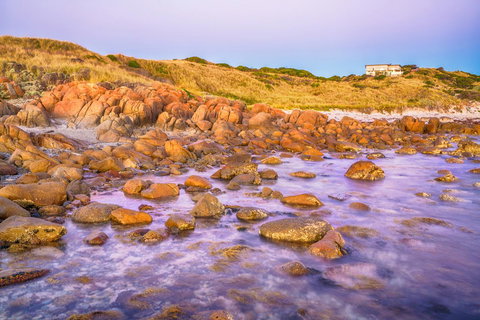 Porky Beach Retreat - King Island Escapes - Sunshine Coast Tourism 9