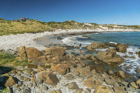 Porky Beach Retreat - King Island Escapes - Sunshine Coast Tourism 13