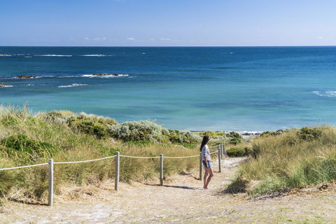 Porky Beach Retreat - King Island Escapes - Sunshine Coast Tourism 14