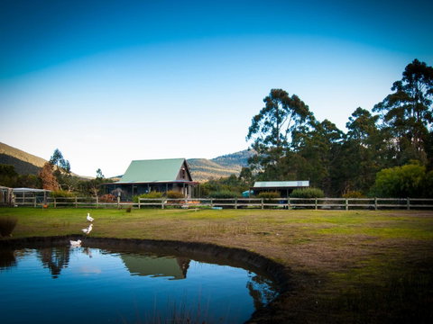 Parnella Adventure Bay, Bruny Island - Sunshine Coast Tourism 16