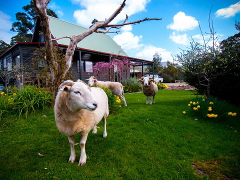 Parnella Adventure Bay, Bruny Island - Sunshine Coast Tourism 19