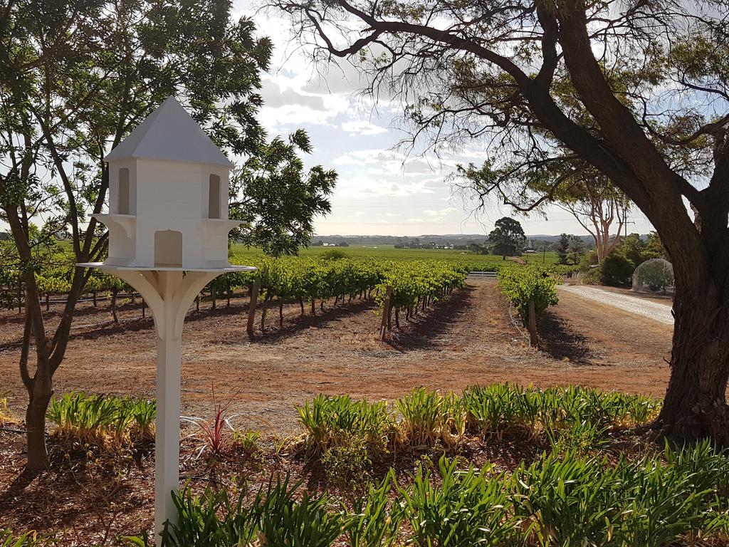 Penrice SA Sunshine Coast Tourism
