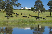 Book Nabiac Accommodation Vacations Sunshine Coast Tourism Sunshine Coast Tourism
