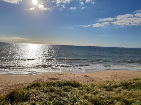 (Pets Welcome) Southern Comfort - Sunshine Coast Tourism 2