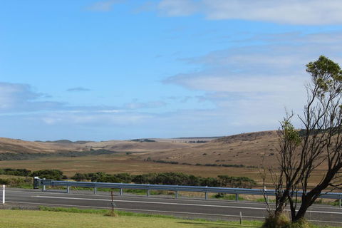 12 Apostles Cottages - Sunshine Coast Tourism 3