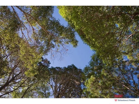 14a Little Cove Road - Sunshine Coast Tourism 2