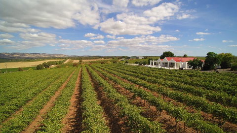 1837 Barossa Luxury Vineyard Cottages - Sunshine Coast Tourism 0