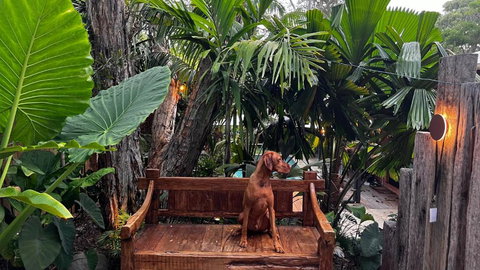 Beach Jungle - Pet-Friendly Hot Tub, Firepit & Pool In Beachside Hideaway - Sunshine Coast Tourism 0