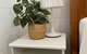 Beautiful Guesthouse In Monbulk - thumb 4
