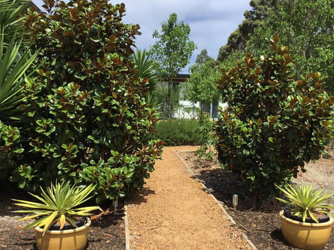 Bed + Bauhaus - Sunshine Coast Tourism 4