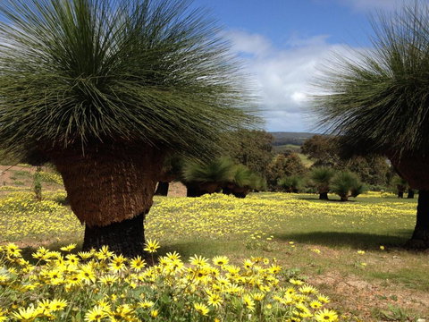 Bed + Bauhaus - Sunshine Coast Tourism 1