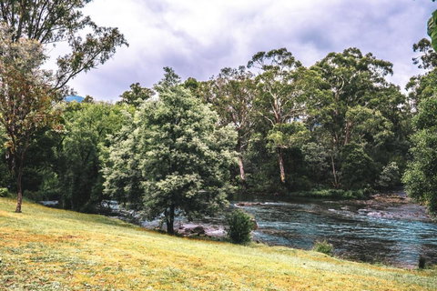 BIG4 Breeze Holiday Parks - Eildon - Sunshine Coast Tourism 0