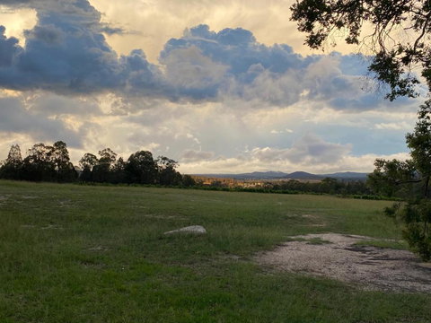 Big Fella Wines & Accommodation - Sunshine Coast Tourism 3