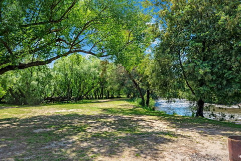 BIG4 Taggerty Holiday Park - Sunshine Coast Tourism 4