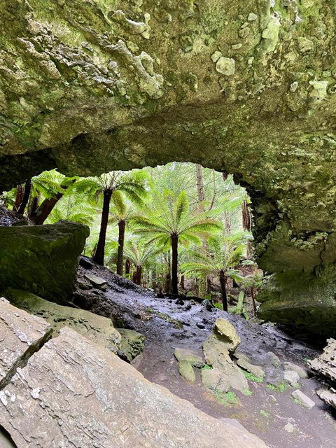 Bilbos Cottage At Little Bird - Sunshine Coast Tourism 4