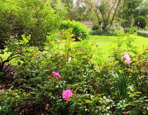 Bindley House B&B Cottage - Sunshine Coast Tourism 4