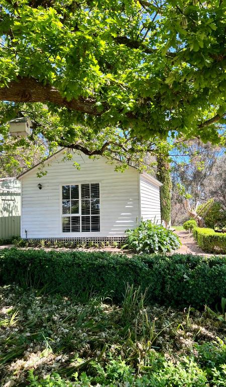 Birchwood Cottage - Sunshine Coast Tourism 4
