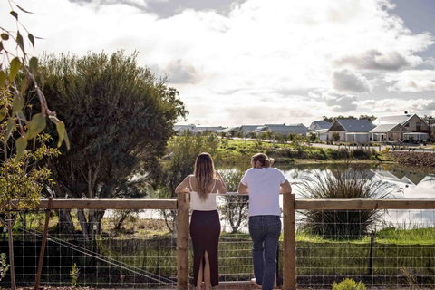 Birdnest Kookaburra - Sunshine Coast Tourism 1