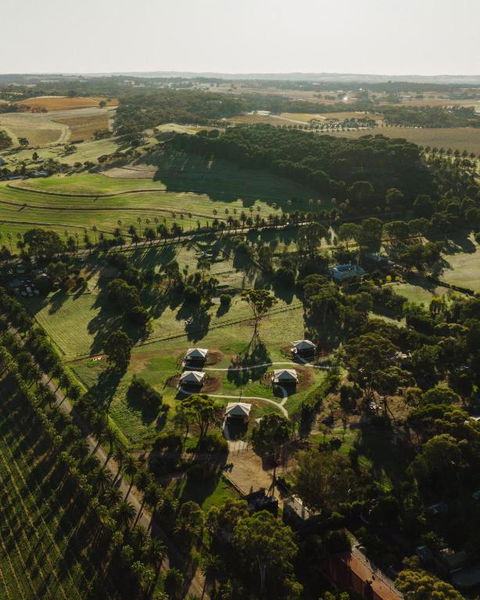 CANVS By CABN Seppeltsfield Barossa - Sunshine Coast Tourism 1