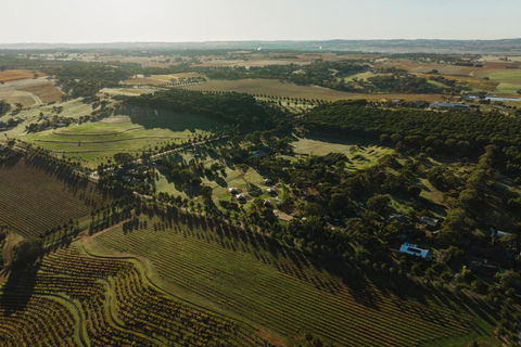 CANVS By CABN Seppeltsfield Barossa - Sunshine Coast Tourism 2