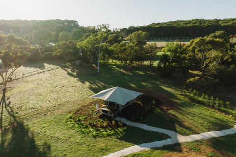 CANVS By CABN Seppeltsfield Barossa - Sunshine Coast Tourism 0